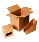 Box Carton Packaging